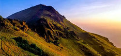 Chikmagalur - Sakleshpur - Coorg - Ooty - Munnar Tour Package